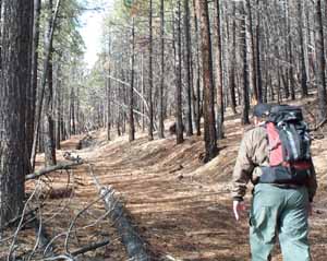 Joe on the Trail