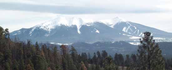 The San Fransisco Peaks from the Kendricks Trail