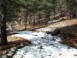 Snow on the Trail