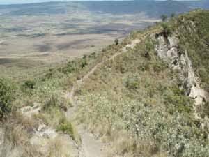 The Rim Trail