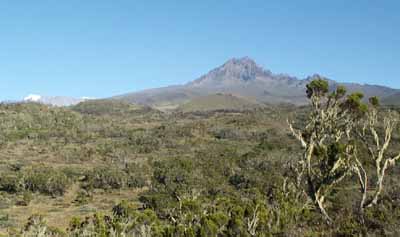 Mawenzi from Maundi Crater with Kibo peaking over the horizon