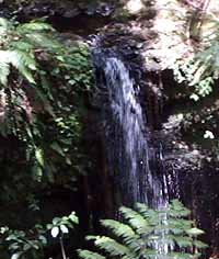 Waterfalls in the rain forest